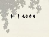 北師大版生物七年級(jí)上冊(cè) 5.1 光合作用課件