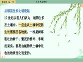 北师大版生物七年级上册 5.1 光合作用课件