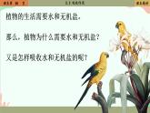 北师大版生物七年级上册 5.3 吸收作用课件