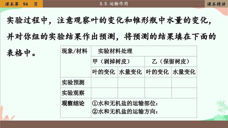 北师大版生物七年级上册 5.5 运输作用课件08