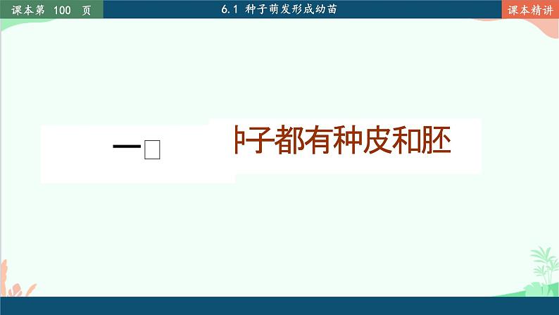 北师大版生物七年级上册 6.1 种子萌发形成幼苗课件03