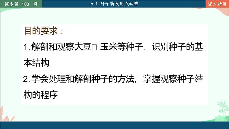 北师大版生物七年级上册 6.1 种子萌发形成幼苗课件06