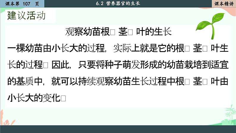 北师大版生物七年级上册 6.2 营养器官的生长课件第2页
