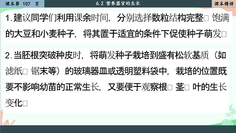 北师大版生物七年级上册 6.2 营养器官的生长课件第3页
