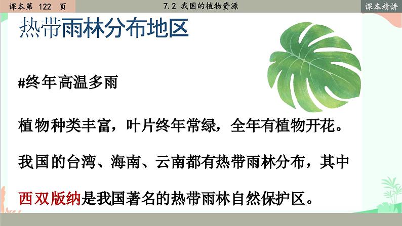 北师大版生物七年级上册 7.2 我国的植物资源课件05