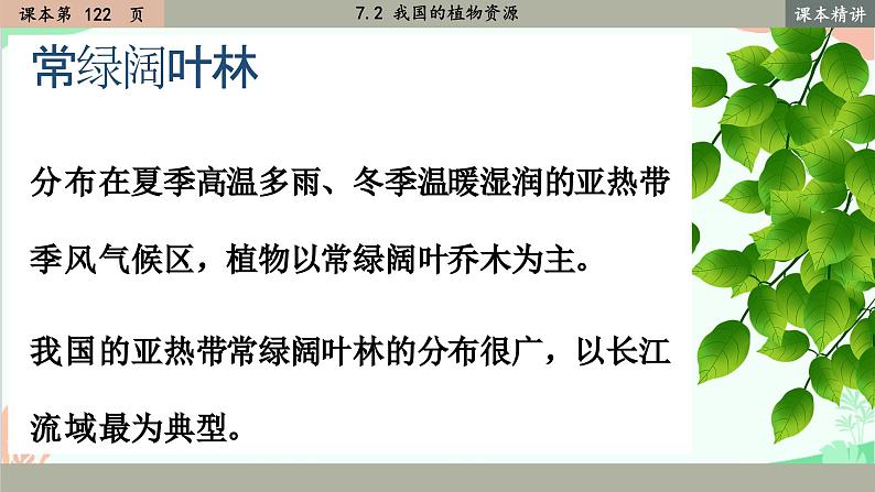 北师大版生物七年级上册 7.2 我国的植物资源课件06