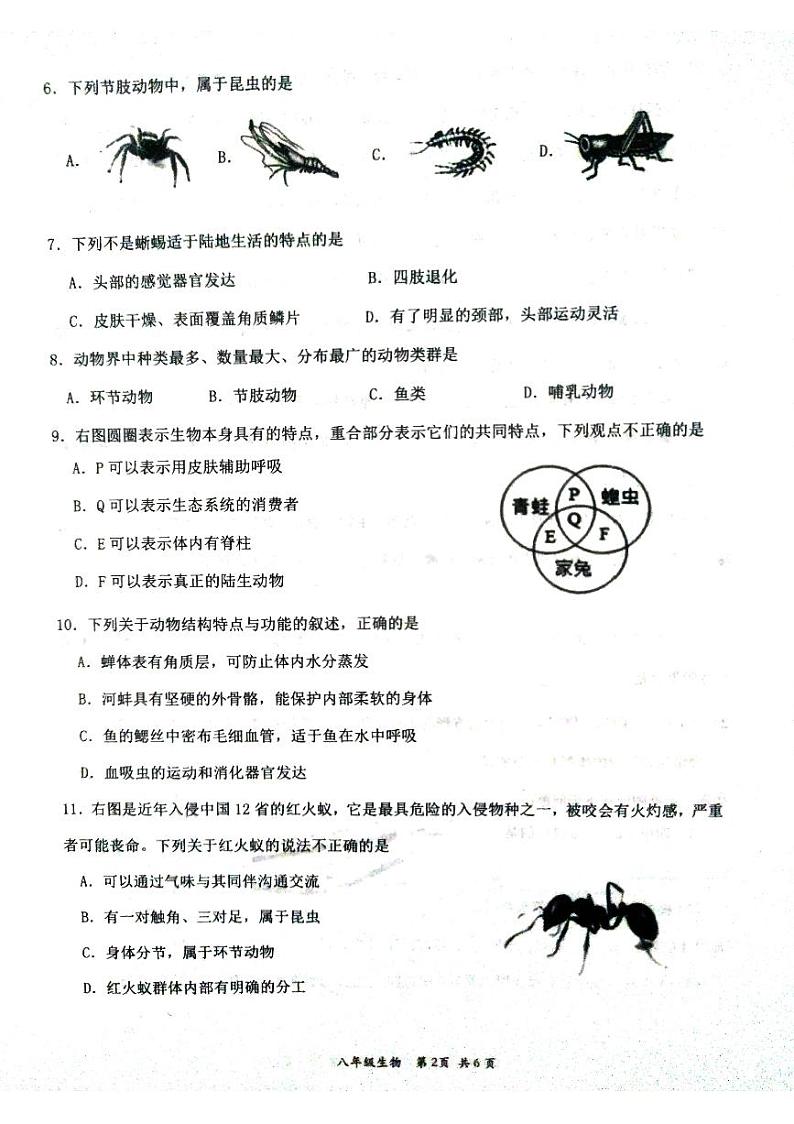 江西省赣州市崇义县2023-2024学年八年级上学期期中生物试题02