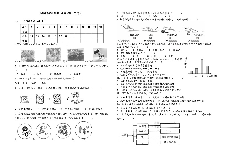 湖北省襄阳襄州区2023-2024学年七年级上学期生物期中试卷（含答案）01