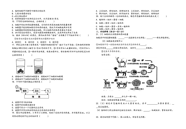 湖北省襄阳襄州区2023-2024学年七年级上学期生物期中试卷（含答案）02