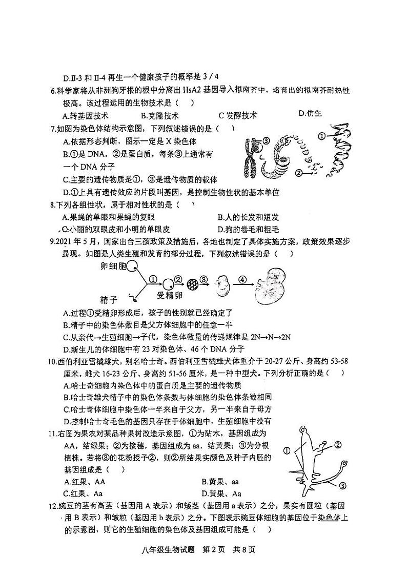 山东省日照市日照港中学2023-2024学年八年级上学期期中考试生物试卷02