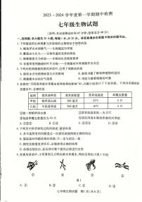 江苏省徐州市丰县2023-2024学年七年级上学期期中学情调研生物试卷