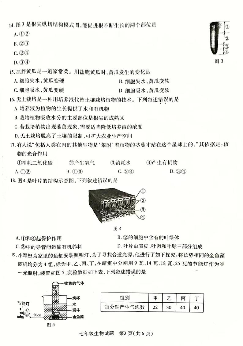 江苏省徐州市丰县2023-2024学年七年级上学期期中学情调研生物试卷第3页