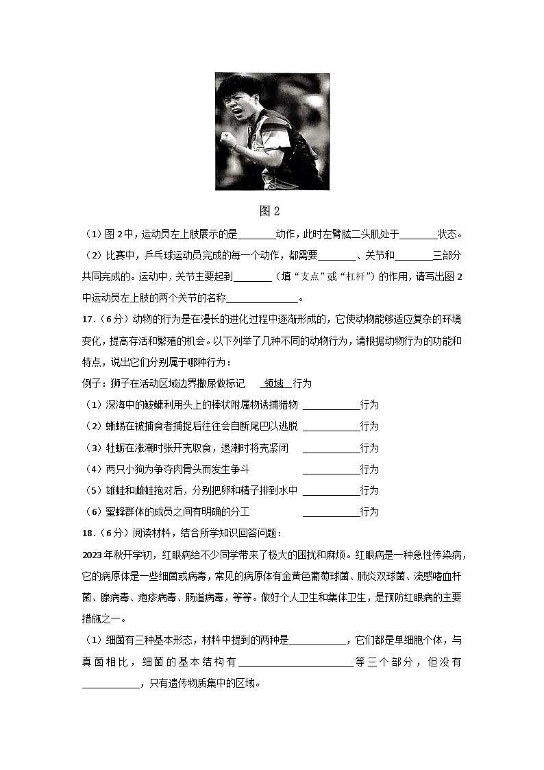 广西贵港市港南区2023-2024学年八年级上学期期中教学质量监测生物试题第3页