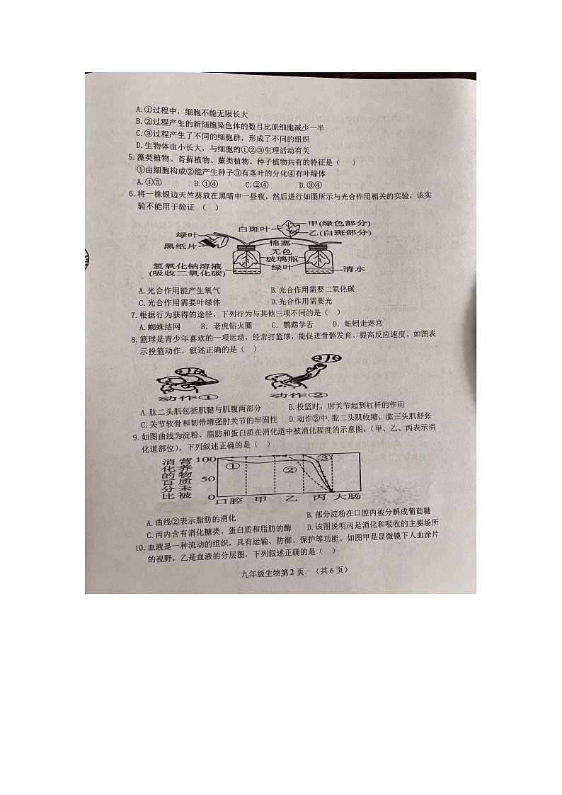 山东省菏泽市巨野县2023-2024学年九年级上学期期中生物试题02