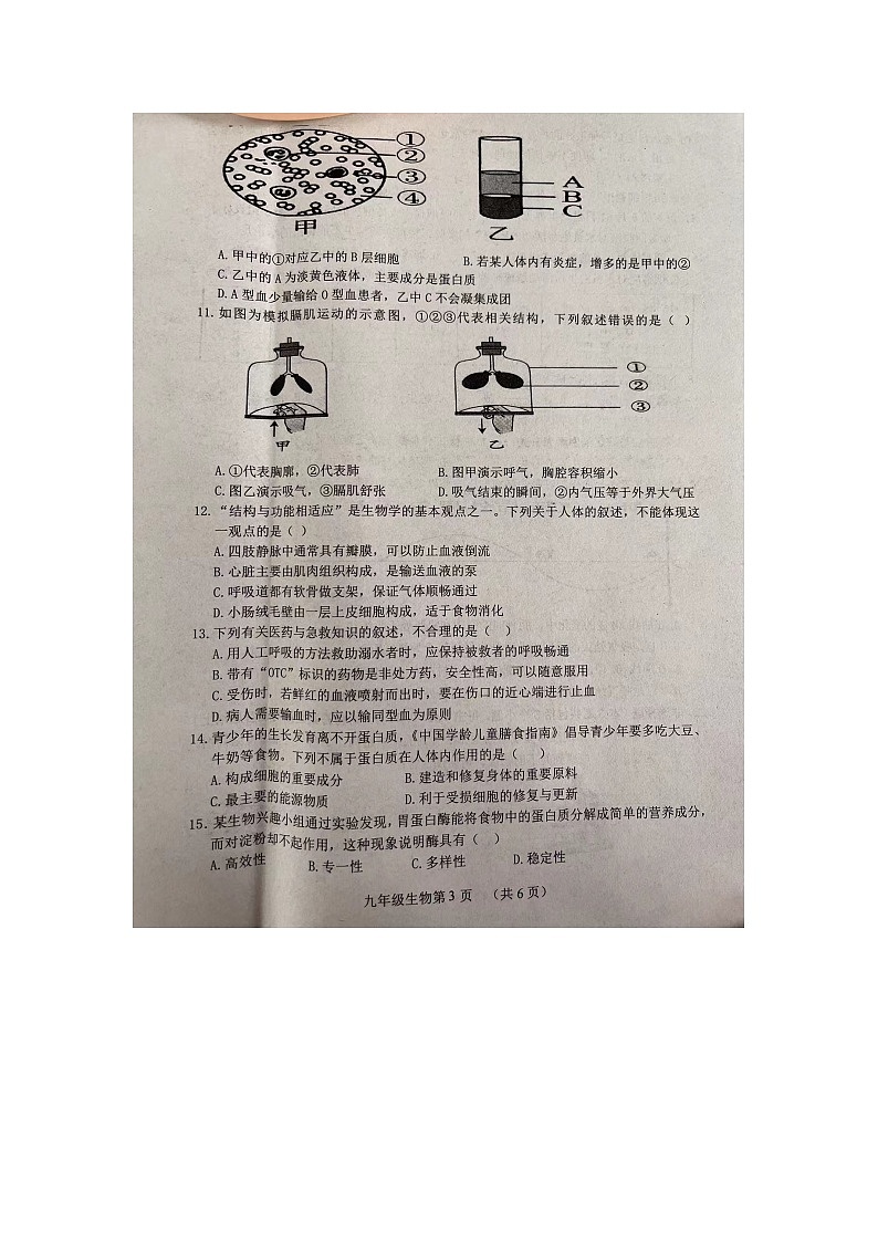 山东省菏泽市巨野县2023-2024学年九年级上学期期中生物试题03