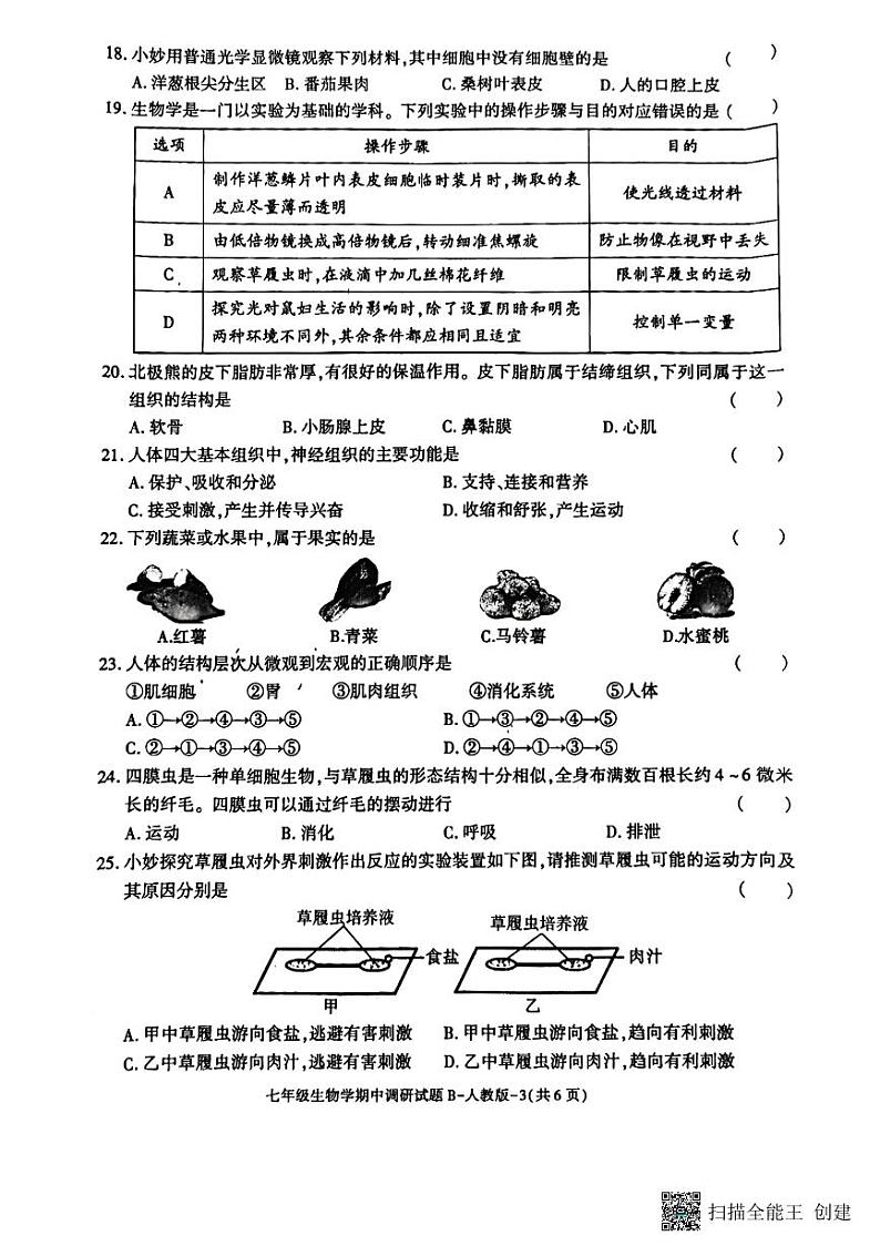 陕西省彬州市县级调研2023-2024学年七年级上学期期中生物试题第3页