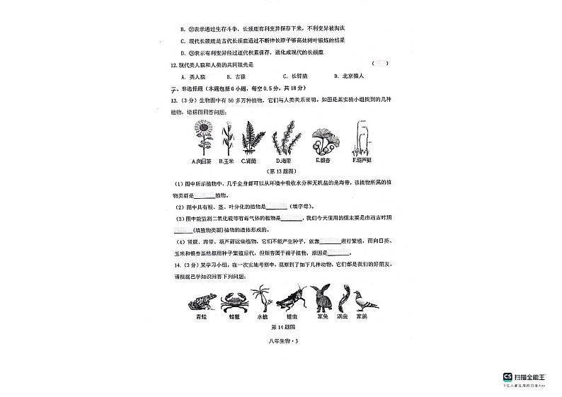 辽宁省沈阳市沈北新区2023-2024学年八年级上学期期中生物试题03