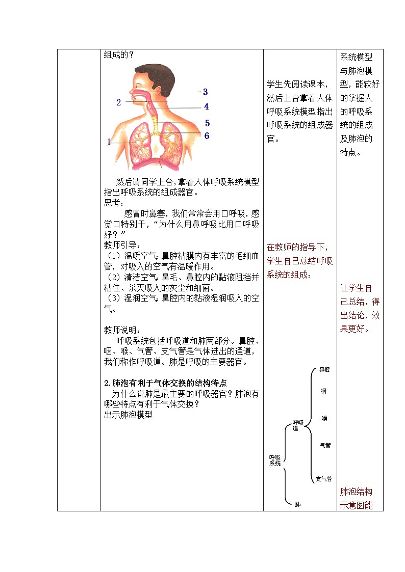 济南版生物七下 第三单元 第二章 7--人体与外界的气体交换1 教案03