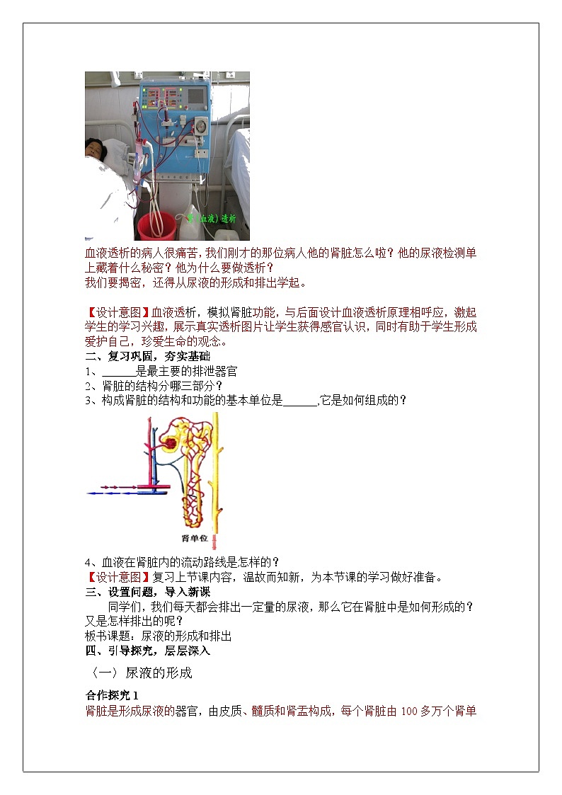 济南版生物七下 第三单元 21--尿液的形成和排出2 教案02