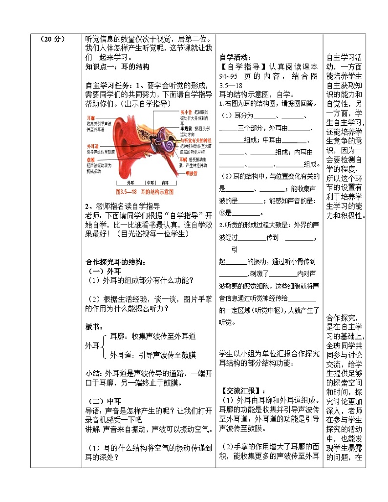 济南版生物七下 第三单元 31--人体对周围世界的感知2 教案第3页