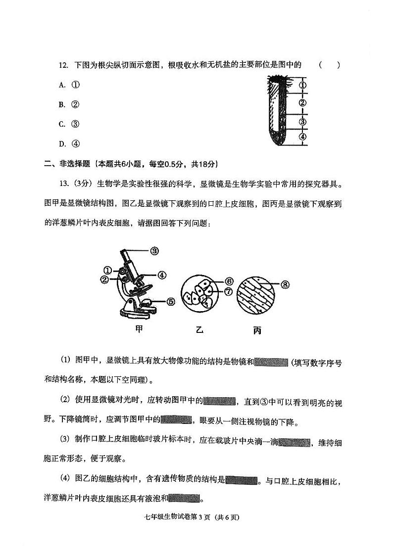 辽宁省沈阳市于洪区2023-2024学年七年级上学期生物期中试卷03