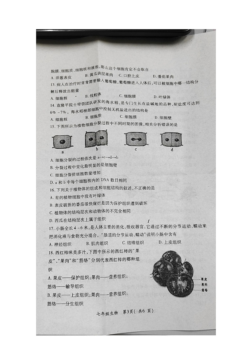 河南省南阳市邓州市2023-2024学年七年级上学期期中生物试题03