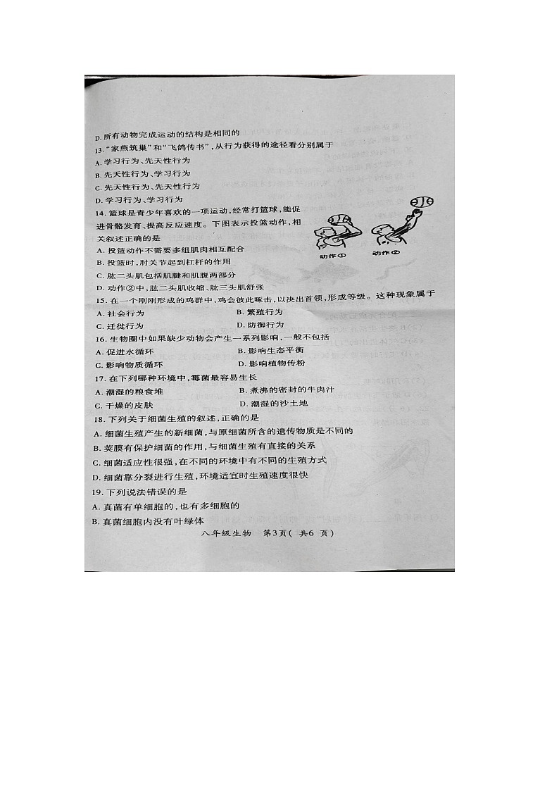 河南省南阳市邓州市2023-2024学年八年级上学期期中生物试题03