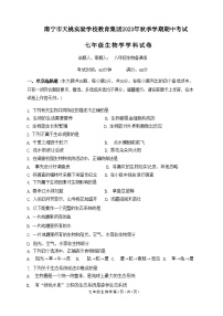 广西南宁市天桃实验学校2023-2024学年七年级上学期期中生物试题