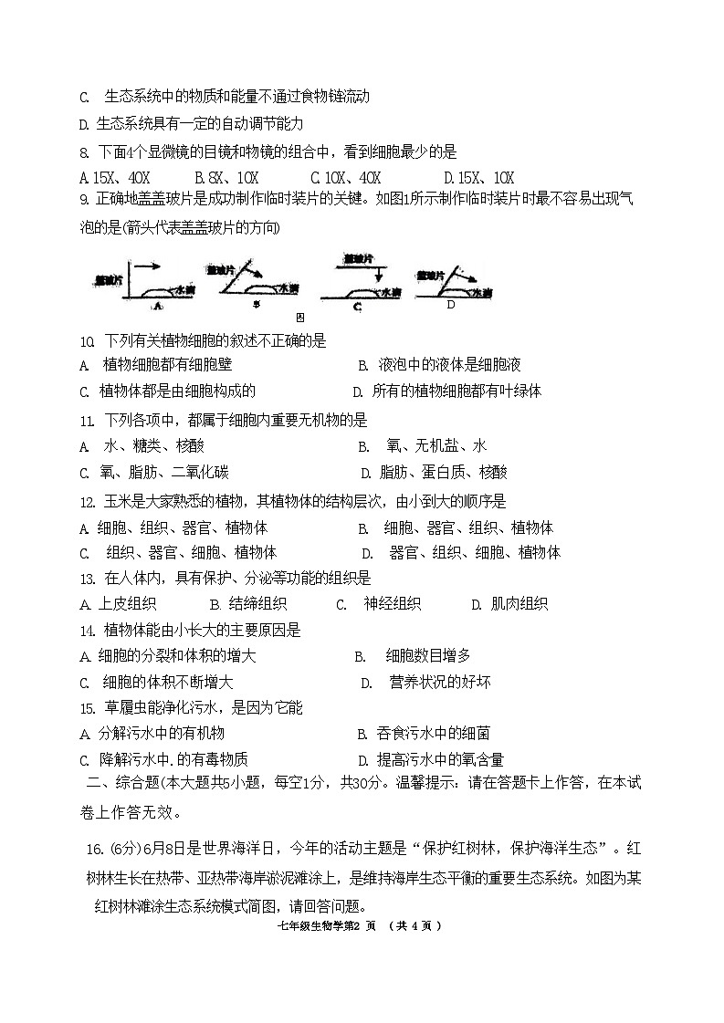 广西南宁市天桃实验学校2023-2024学年七年级上学期期中生物试题02