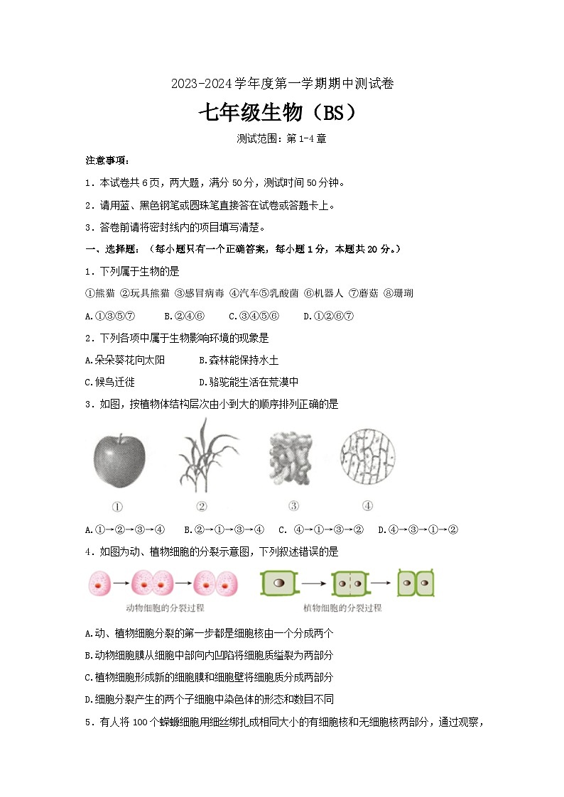 河南省新乡市卫辉市2023-2024学年七年级上学期期中生物学试题（word版含答案）01