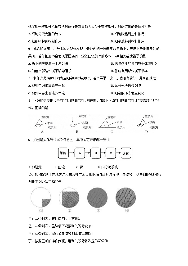 河南省新乡市卫辉市2023-2024学年七年级上学期期中生物学试题（word版含答案）02