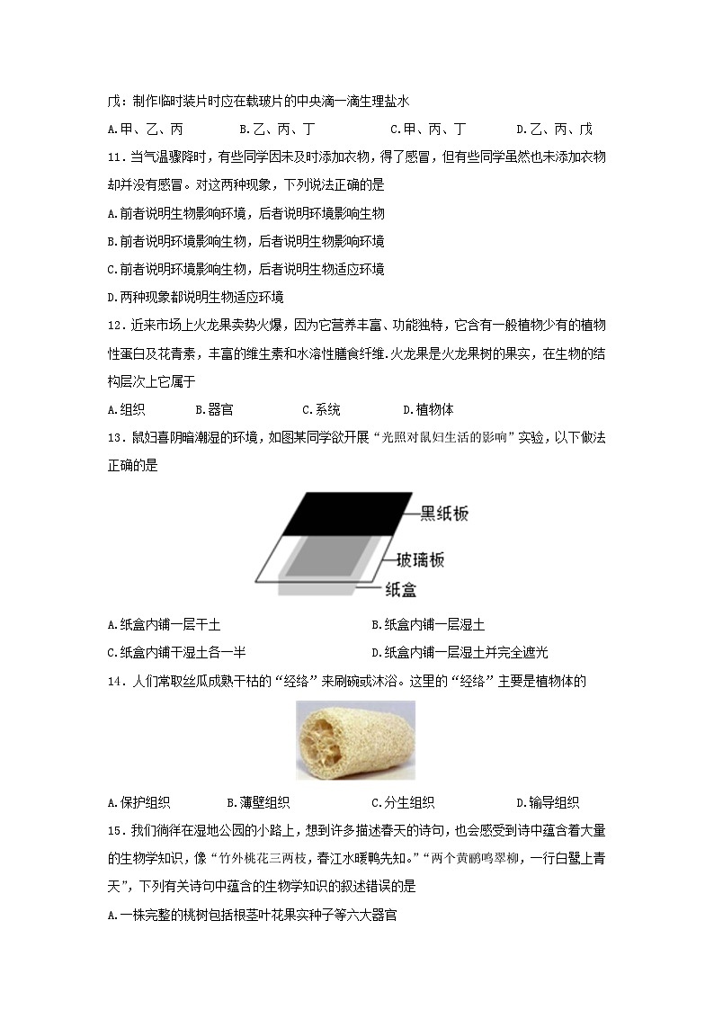 河南省新乡市卫辉市2023-2024学年七年级上学期期中生物学试题（word版含答案）03