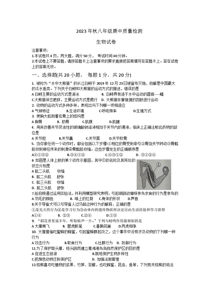 2023-2024学年河南省商丘市柘城县八年级上学期期中生物试题（word版含答案）01
