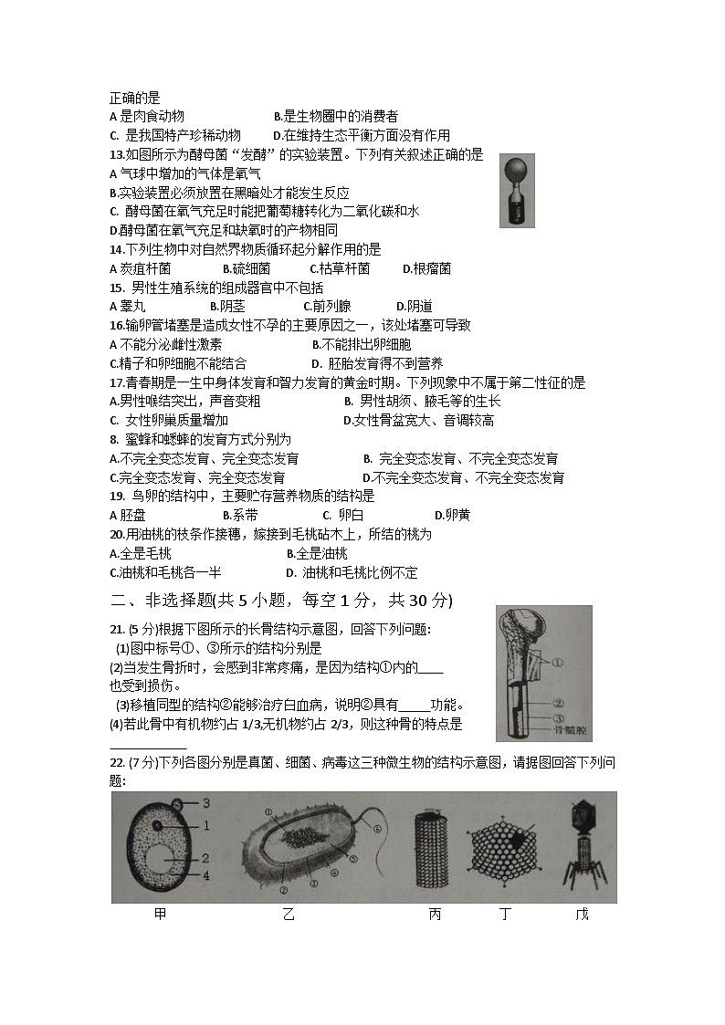 2023-2024学年河南省商丘市柘城县八年级上学期期中生物试题（word版含答案）02