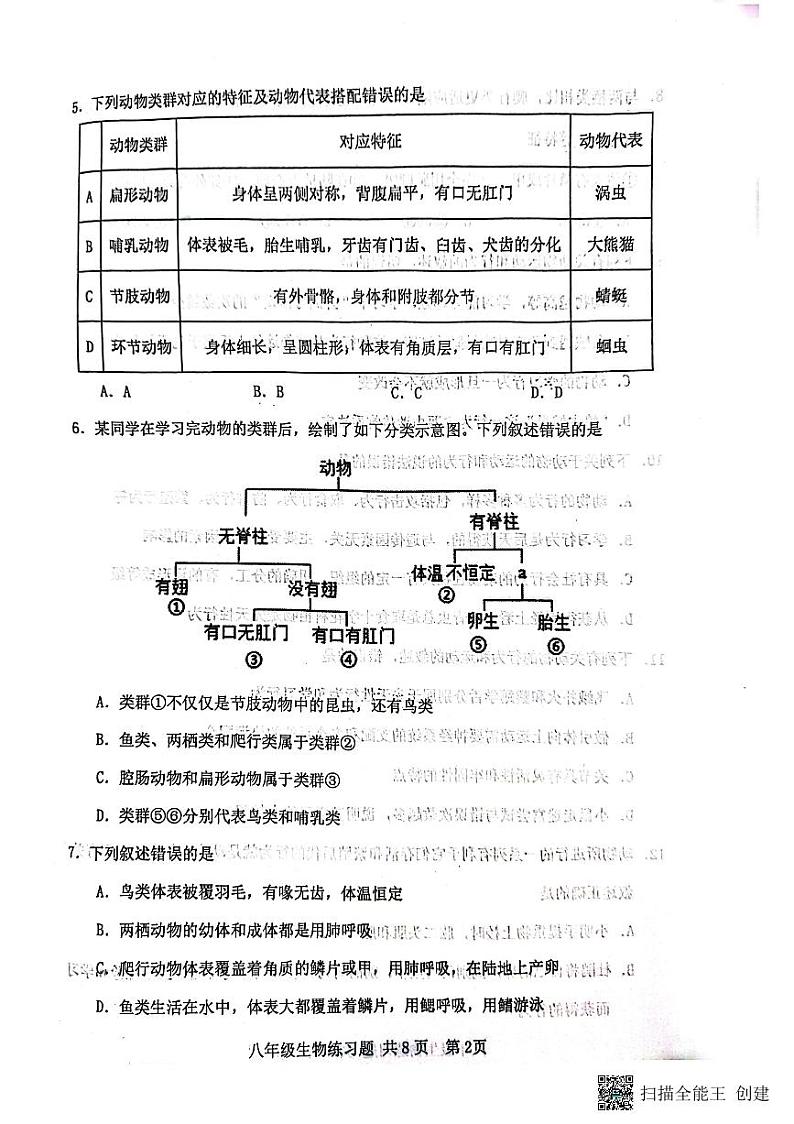山东省泰安市岱岳区2023-2024学年八年级上学期期中生物试题02