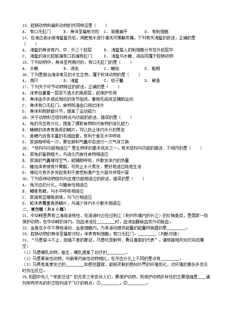 人教版生物八年级上册 第五单元第一章 动物的主要类群单元测试第2页