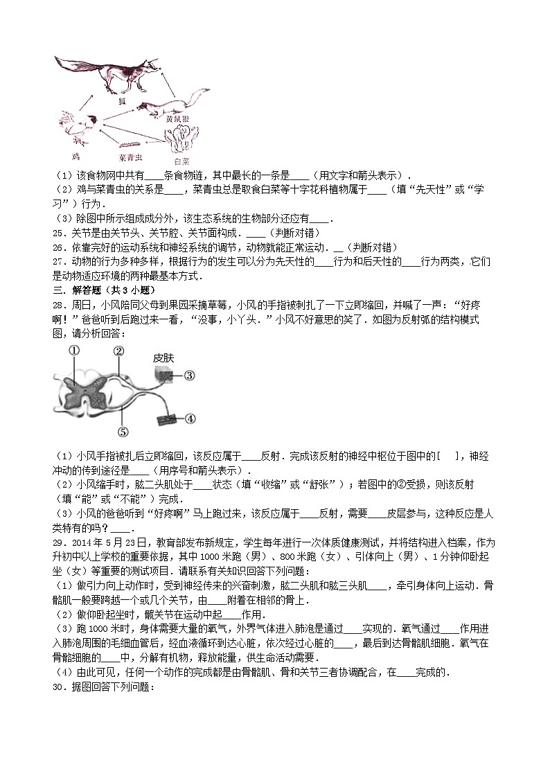 人教版生物八年级上册 第五单元第二章 动物的运动和行为单元测试03