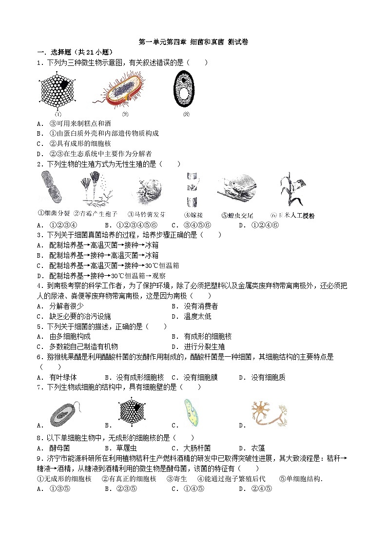 人教版生物八年级上册 第五单元第四章 细菌和真菌单元测试第1页