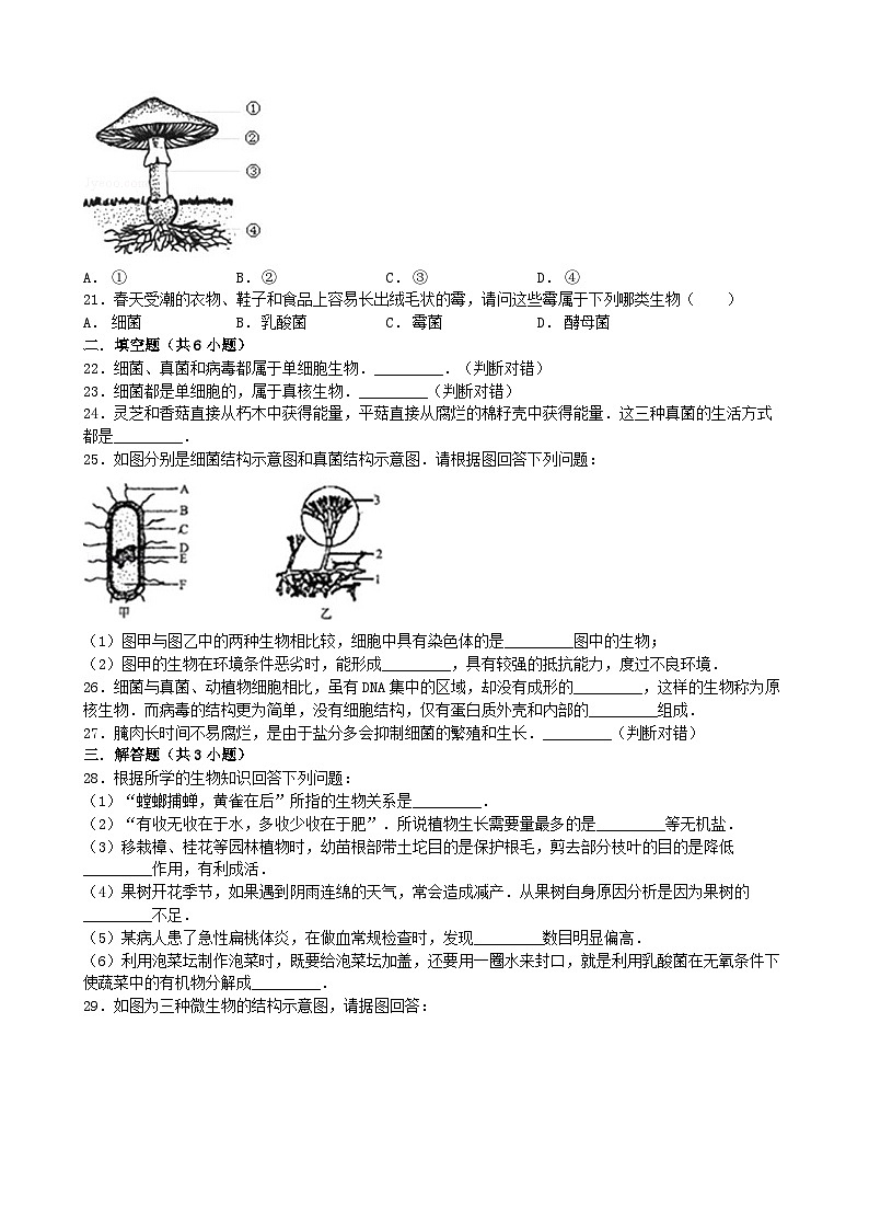 人教版生物八年级上册 第五单元第四章 细菌和真菌单元测试第3页