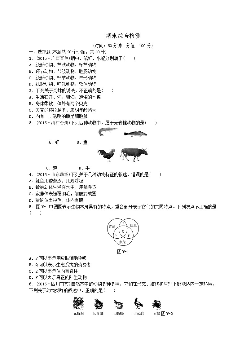人教版生物八年级上册 期末单元测试第1页