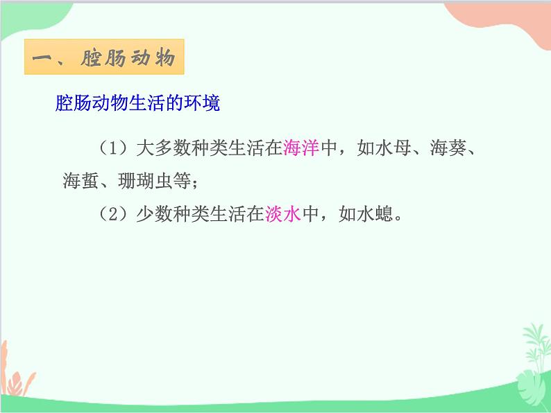 人教版生物八年级上册 5.1.1腔肠动物和扁形动物课件03