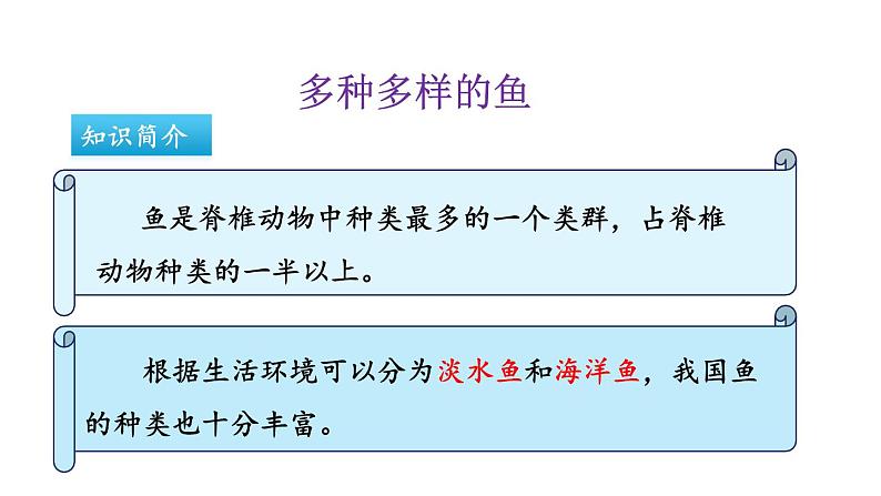 人教版生物八年级上册 5.1.4鱼课件第5页