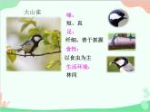 人教版生物八年级上册 5.1.6鸟课件