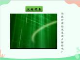 人教版生物八年级上册 5.4.5人类对细菌和真菌的利用课件