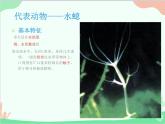人教版生物八年级上册 5.1.1 腔肠动物和扁形动物课件