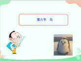 人教版生物八年级上册 5.1.6 鸟课件