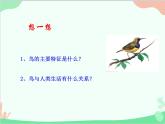 人教版生物八年级上册 5.1.6 鸟课件