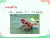人教版生物八年级上册 5.1.6 鸟课件