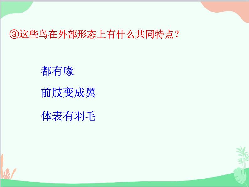 人教版生物八年级上册 5.1.6 鸟课件08