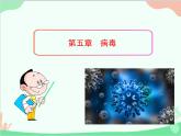 人教版生物八年级上册 5.5 病毒课件